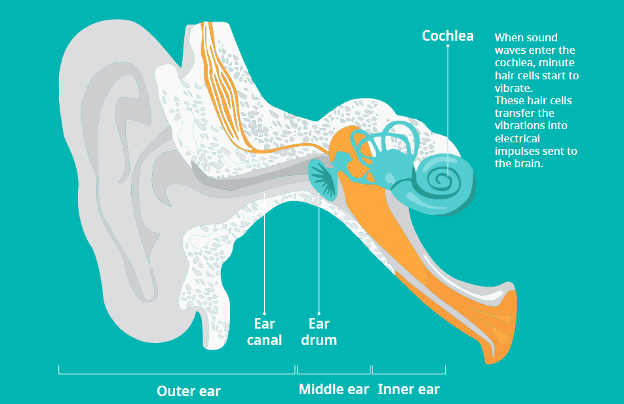 How to tell if you have hearing loss